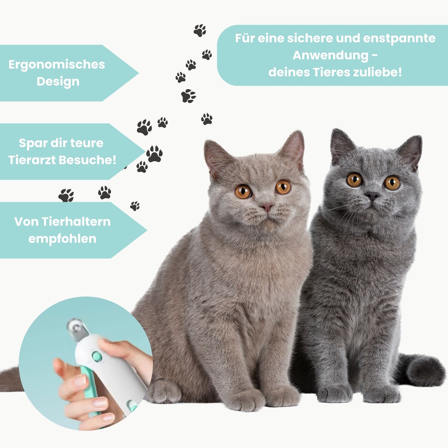 PawTrim Master - Professionelle Pfotenpflege