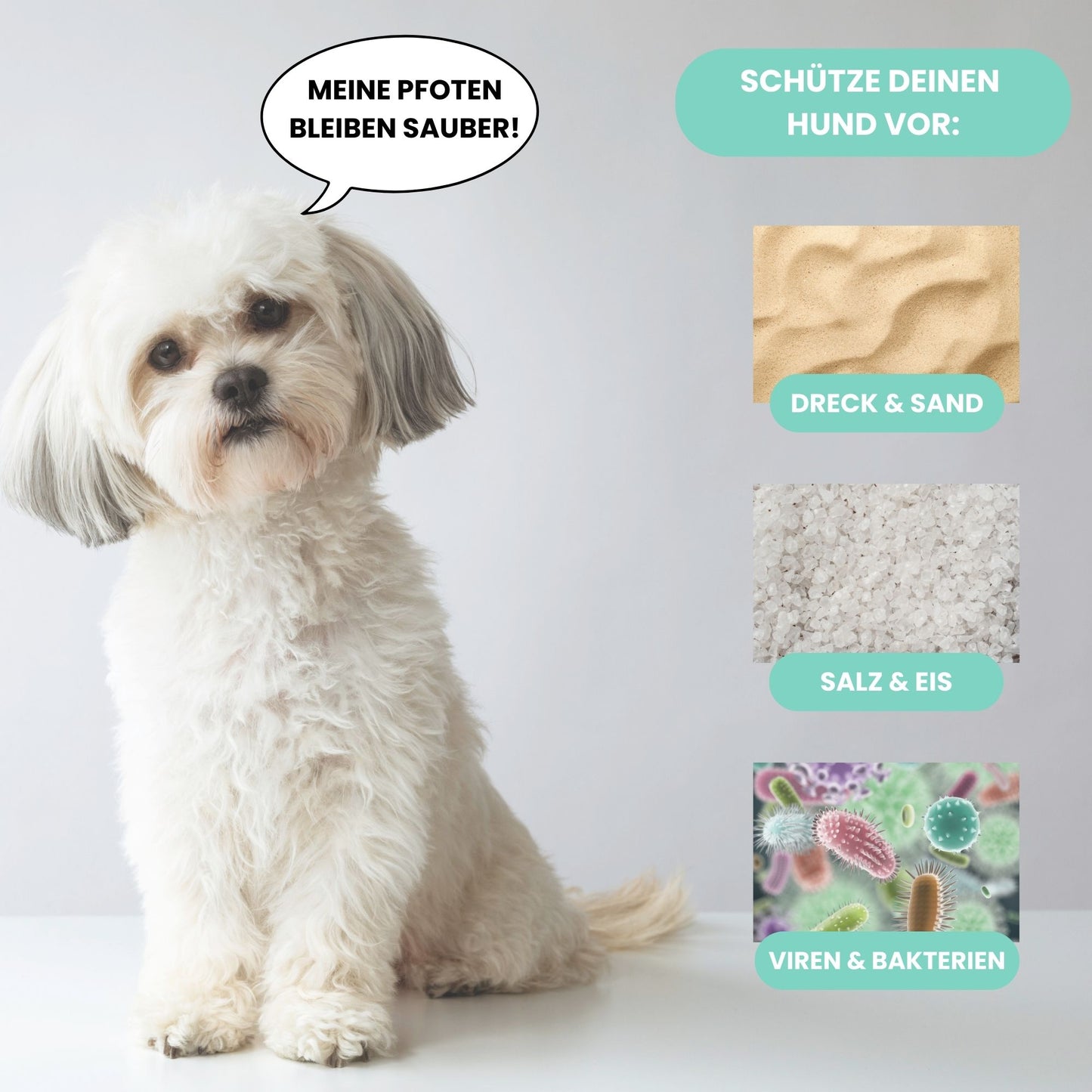 Pawfect Clean - Pfotenreiniger für Hunde