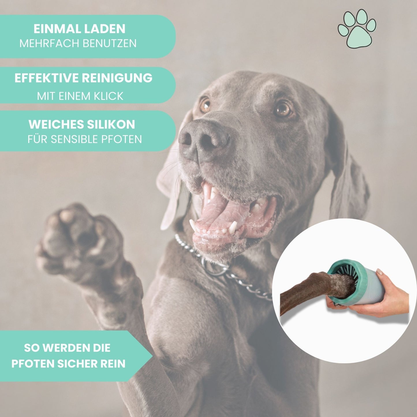 Pawfect Clean - Pfotenreiniger für Hunde