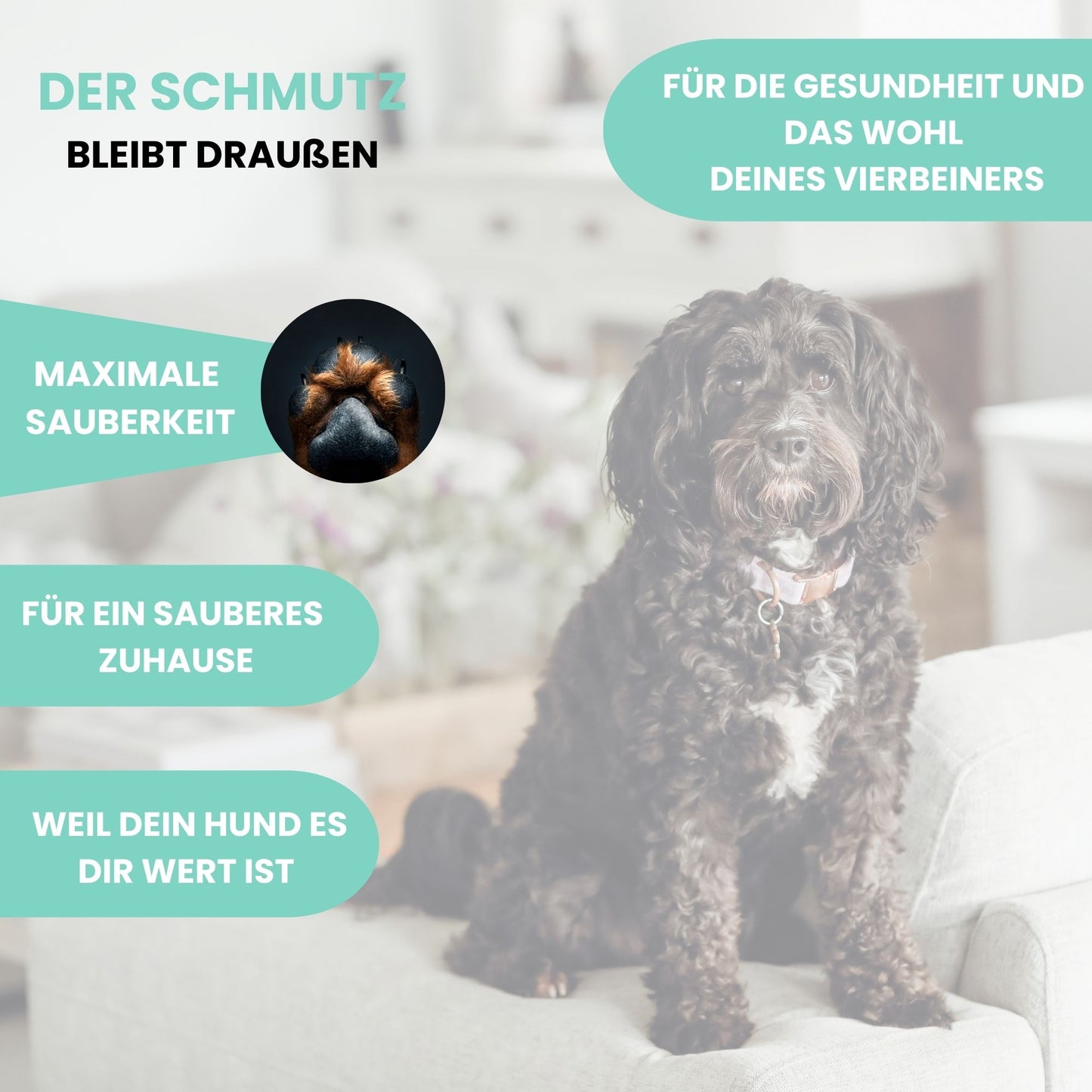Pawfect Clean - Pfotenreiniger für Hunde