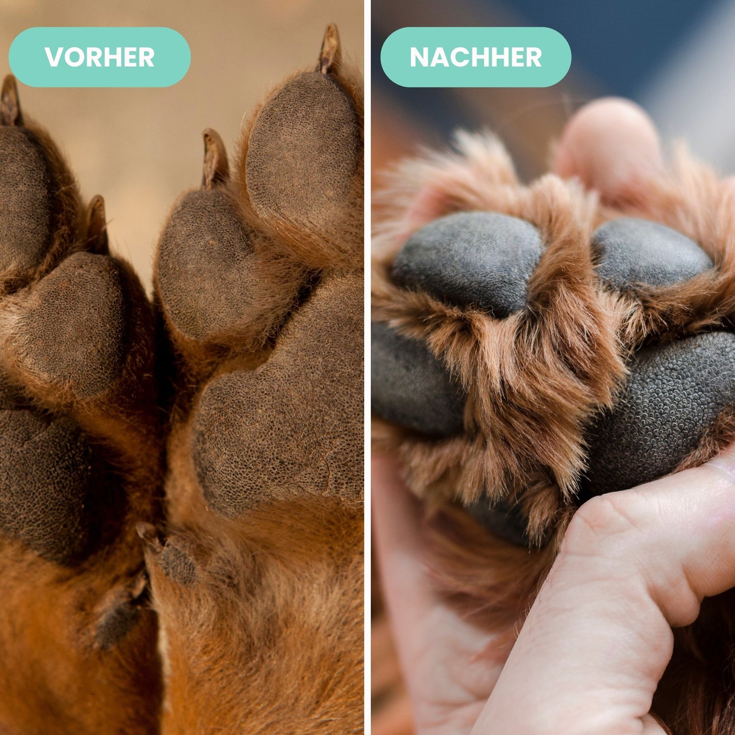 Pawfect Clean - Pfotenreiniger für Hunde