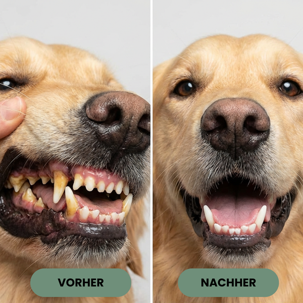 Pet Zahnreinigungs Pulver Pro Tartar