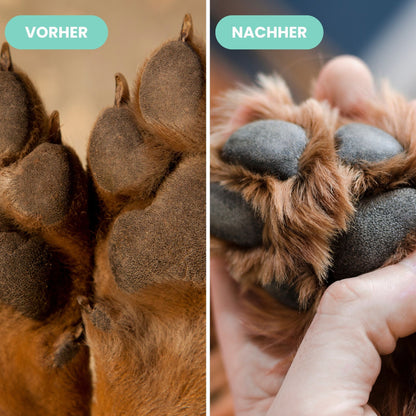 Pawfect Clean - Pfotenreiniger für Hunde